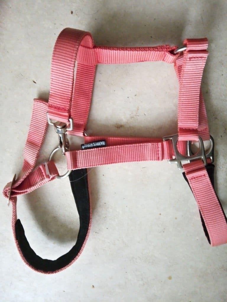 ponytuig, Hoofdstel, Harry's Horse, Nieuw, Roze