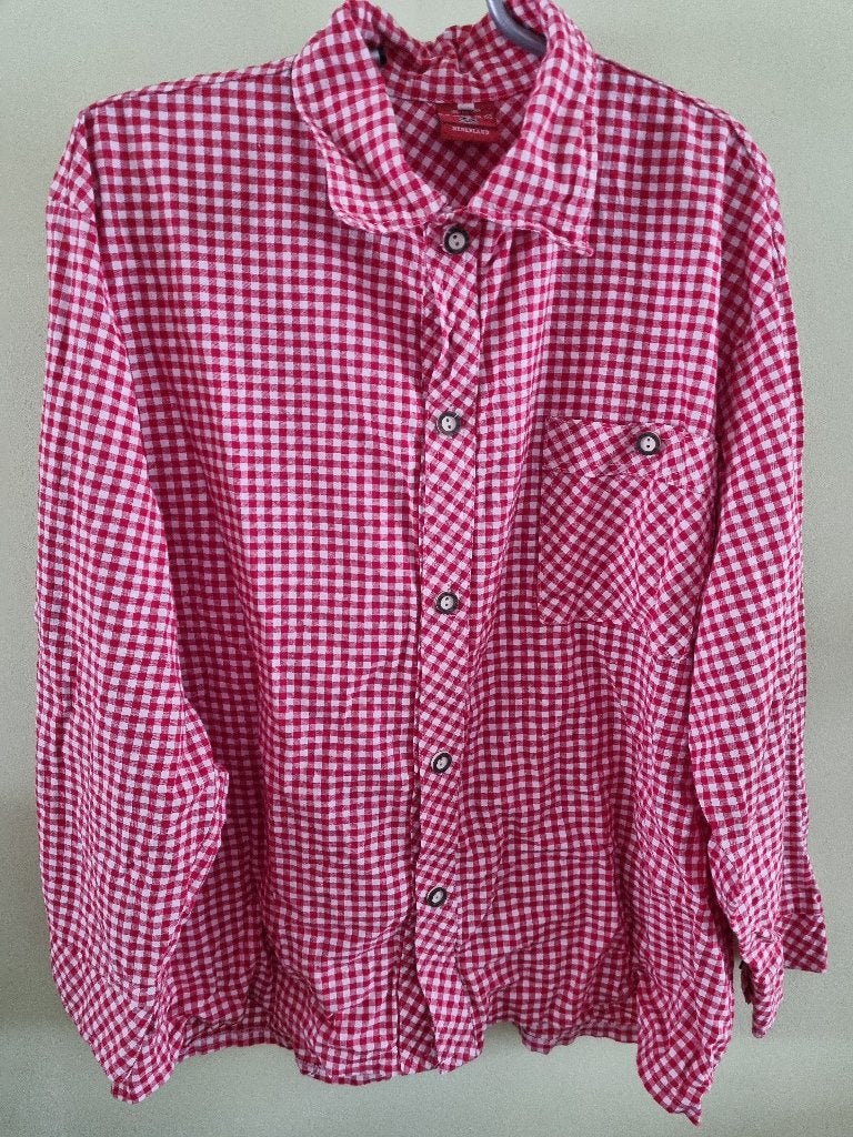 diversen carnavalsspullen, Kleding | Dames, Carnavalskleding en Feestkleding, Ophalen, Zo goed als nieuw, Maat 46/48 (XL) of groter