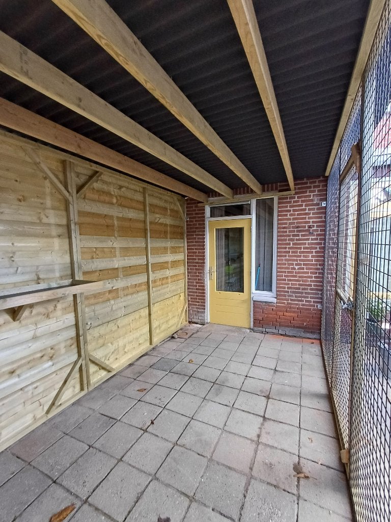 Kattenren Eindhoven | Maatwerk | Duurzame materialen, Ophalen of Verzenden, Nieuw