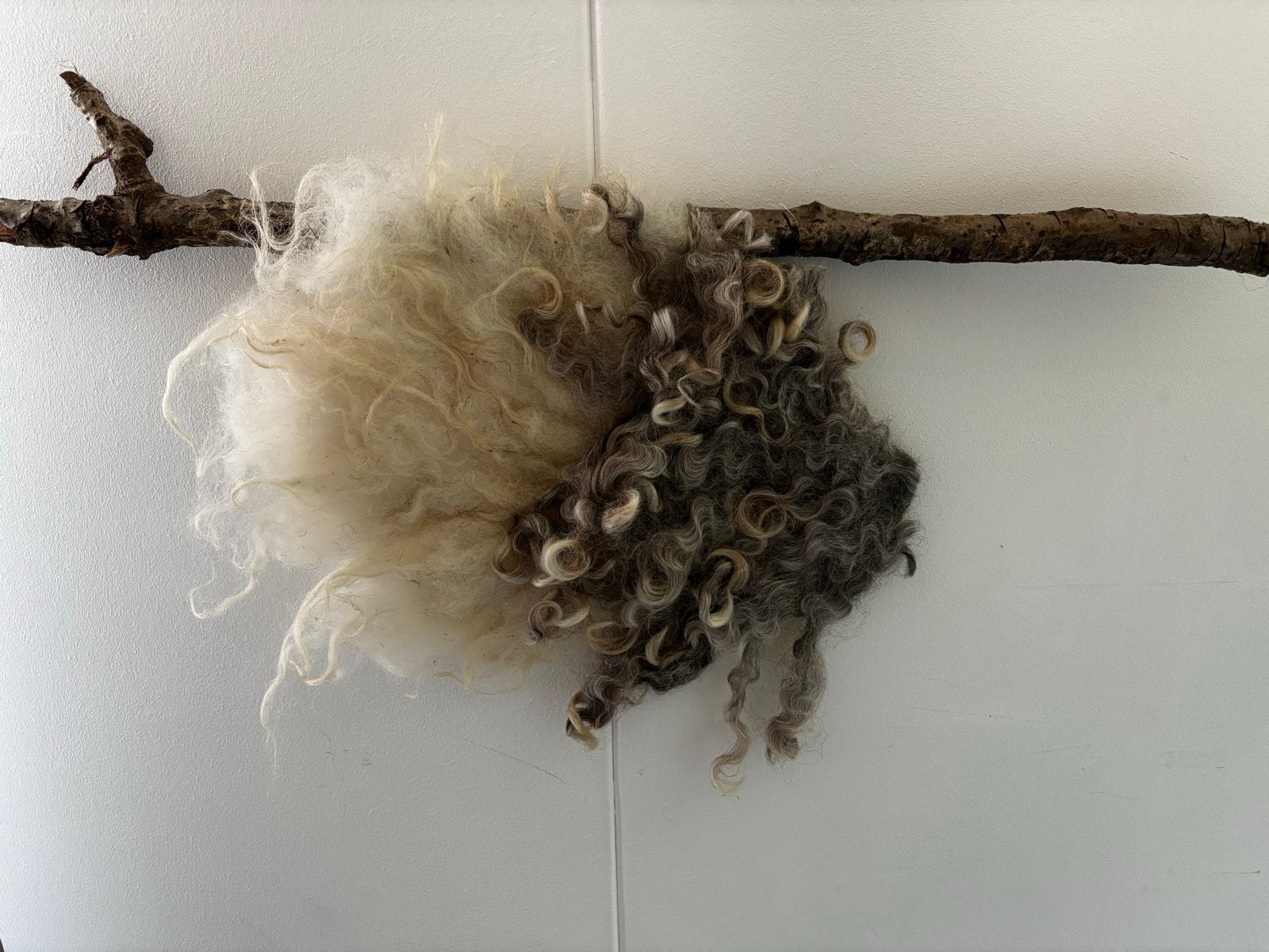 Gevilte vis van ruwe schapenwol - Wanddecoratie, Ophalen, Meerkleurig, Nieuw, Landelijk