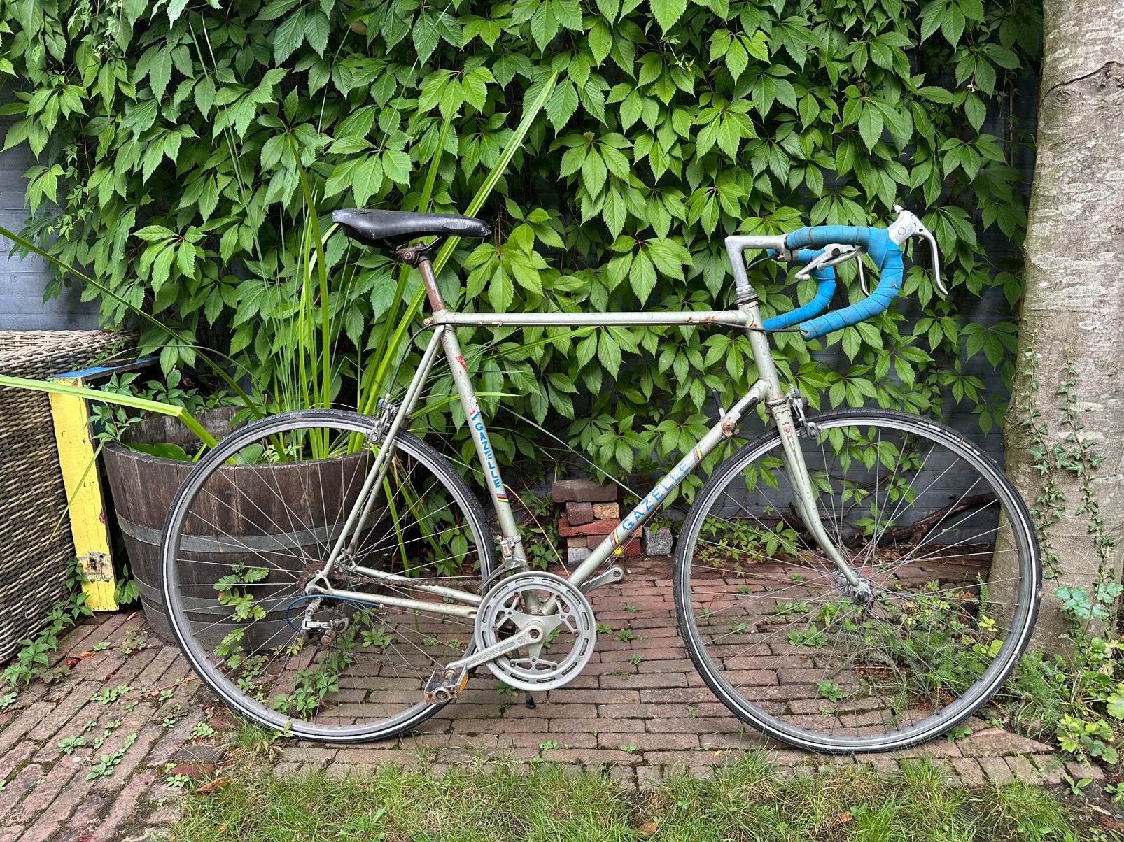 Vintage Gazelle racefiets, Ophalen, Minder dan 10 versnellingen, Gebruikt, Staal