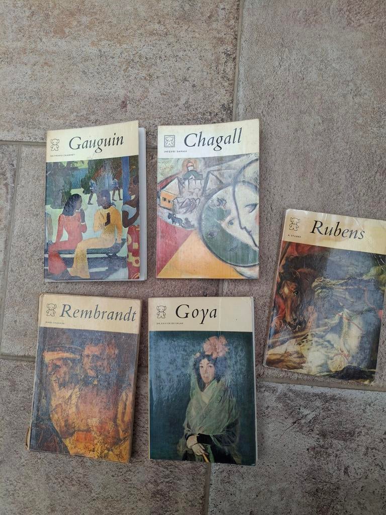 Kunstboeken: Gauguin, Chagall, Rubens, Rembrandt, Goya, Ophalen of Verzenden, Gelezen, Overige onderwerpen