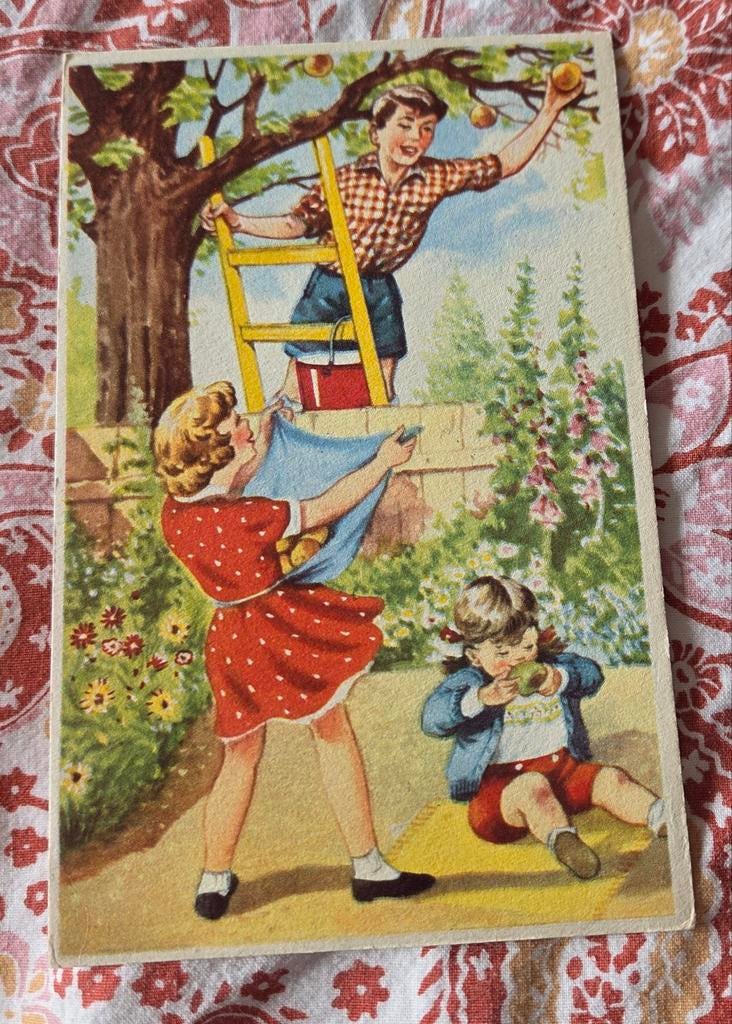 Kinderen plukken appels uit de boom, Verzenden, 1940 tot 1960, Ongelopen, Kinderen