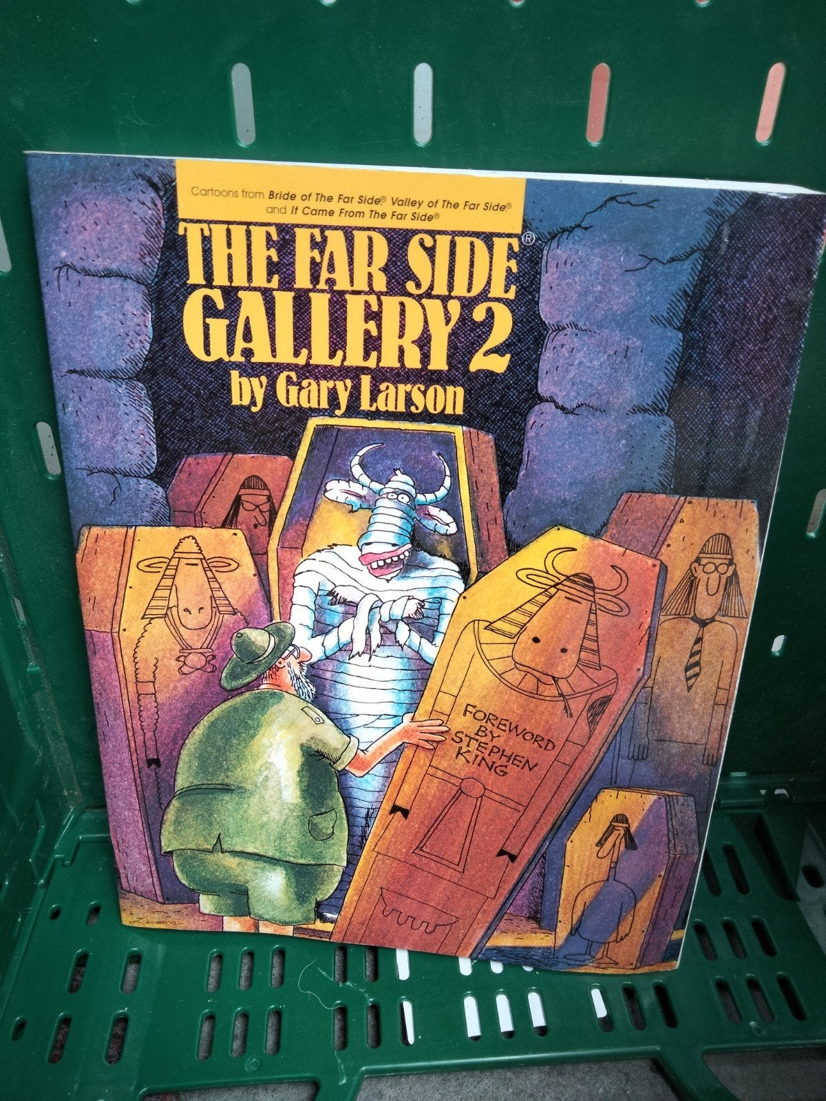 Far Side Gallery 2, Ophalen of Verzenden, Gelezen