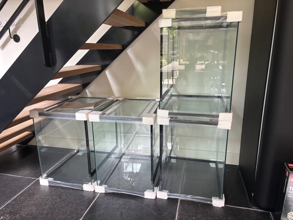 4 gloednieuwe ongebruikte vivaria te koop, Ophalen, Nieuw, Terrarium of Paludarium