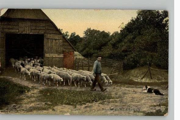 Groete uit Lunteren Schaapskudd  TULP_kaart st 1909, Verzamelen, Verzenden, Voor 1920, Gelopen, Gelderland