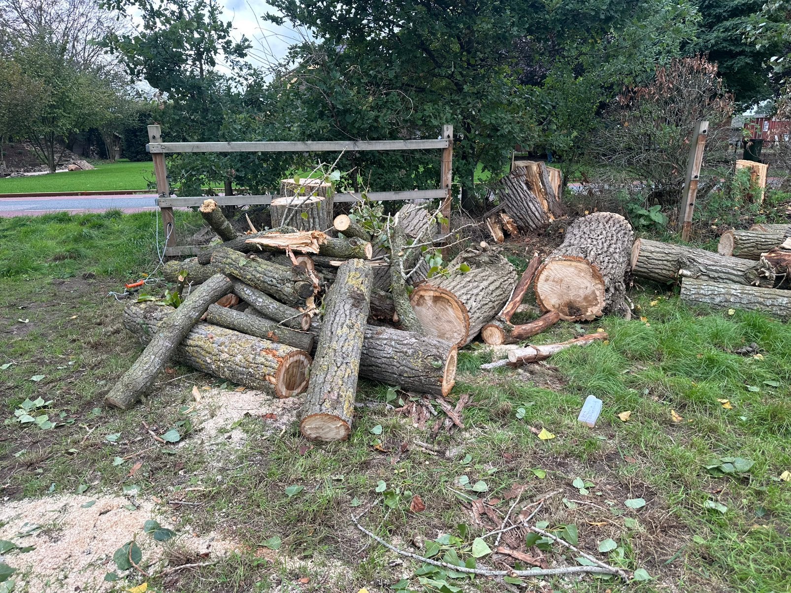 Populieren hout, Tuin en Terras, Minder dan 3 m³, Ophalen, Overige houtsoorten, Stammen