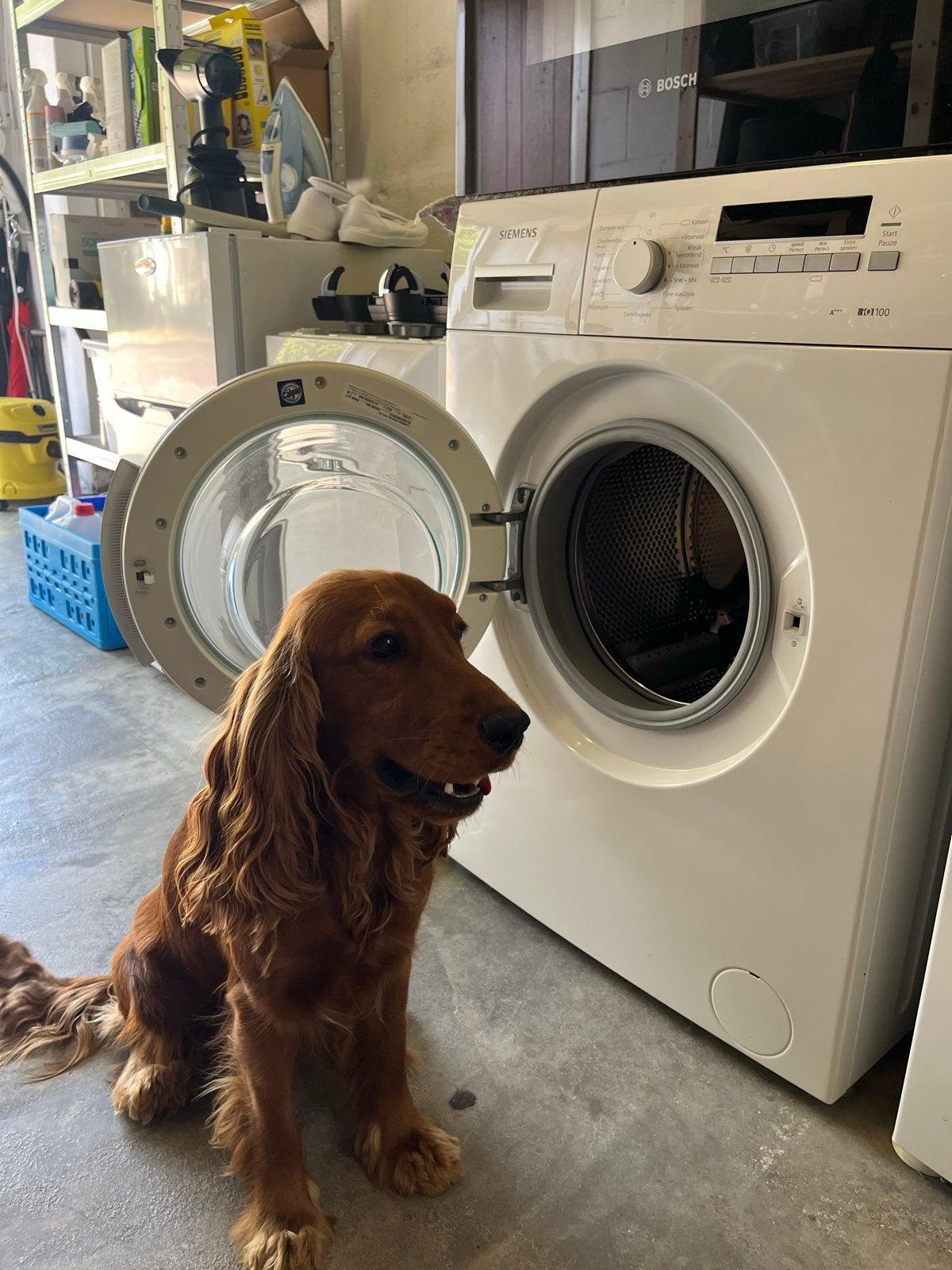 Siemens WM14B262NL/31 Wasmachine - A+++, 7kg, 1400 toeren, Ophalen, Gebruikt, 85 tot 90 cm, 1200 tot 1600 toeren