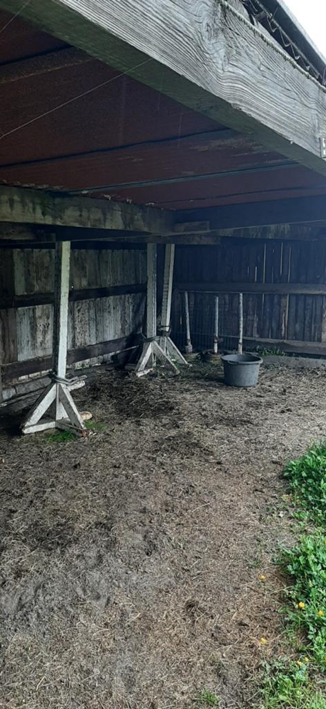 Hindernis 7 staanders, hindernissen spring springen ., Dieren en Toebehoren, Paarden en Pony's | Overige Paardenspullen, Ophalen