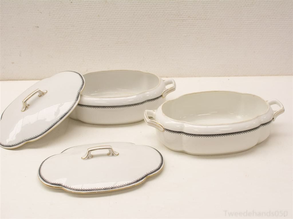 9 Delig porseleinen servies 10451, Gebruikt, Ophalen of Verzenden, Bord(en), Overige stijlen