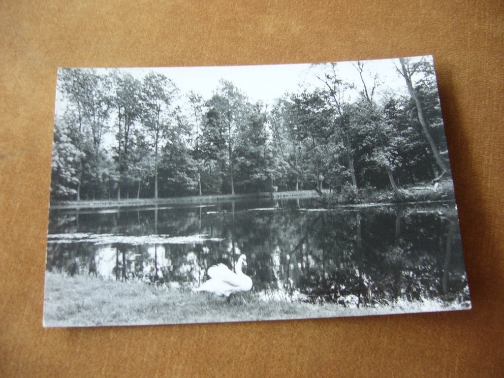 BALKBRUG  =  SCHANSGRACHT  MET ZWAAN, Verzamelen, Ophalen of Verzenden, 1960 tot 1980, Gelopen