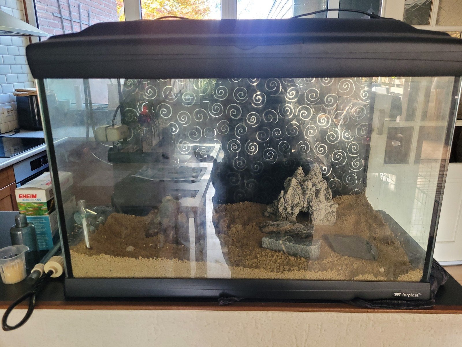 Gratis aquarium van 60x33x45 Inc. toebehoren, Dieren en Toebehoren, Ophalen, Gebruikt, Leeg aquarium
