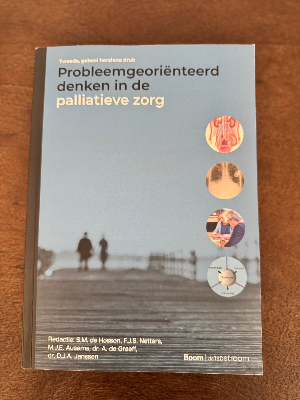 Probleemgeoriënteerd denken in de palliatieve zorg, Sociale wetenschap, Ophalen of Verzenden, Zo goed als nieuw, Sabine Netters; Marieke Ausems; Alexander de Graeff; Daisy Ja...