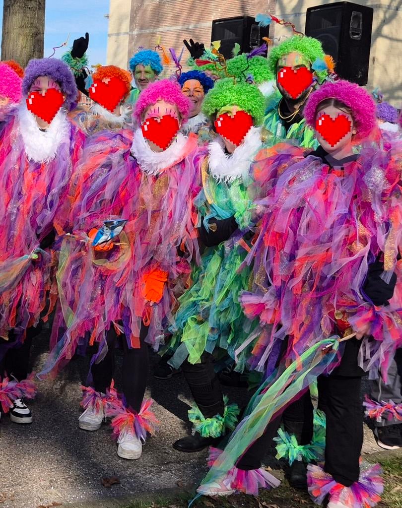 Fleurige pakken carnaval loopgroep optocht 63 personen, Tickets en Kaartjes, Twee personen, Ticket of Toegangskaart
