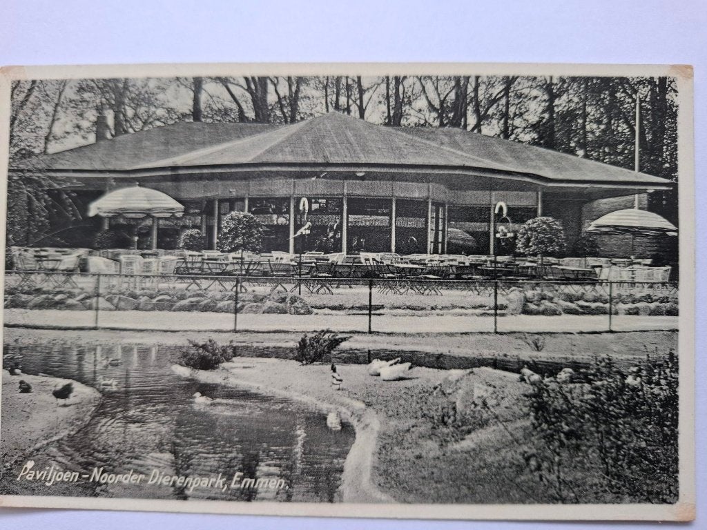 Zoo, Ophalen of Verzenden, 1920 tot 1940, Gelopen, Wild dier