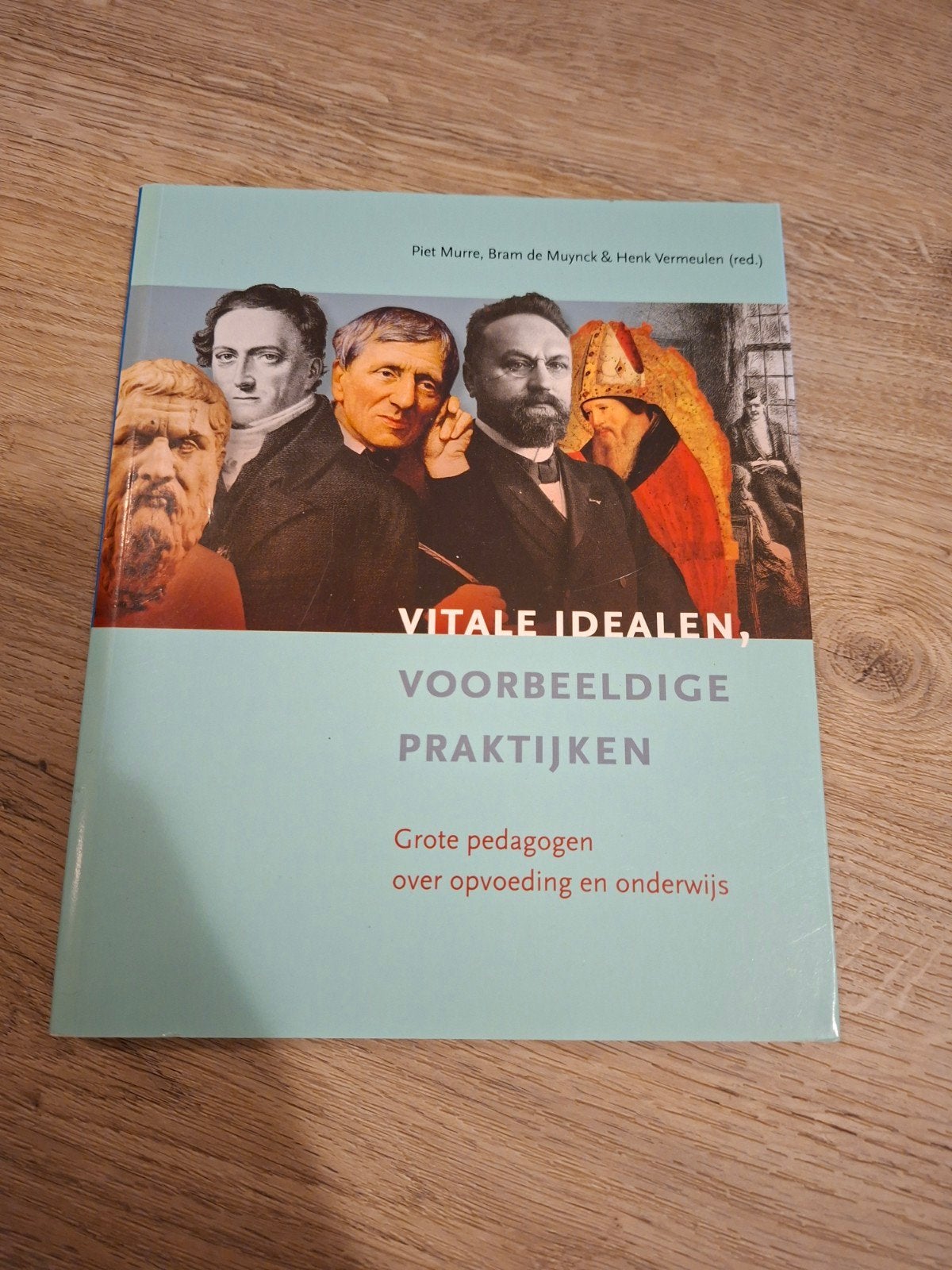 Vitale idealen, voorbeeldige praktijken, Ophalen of Verzenden, Zo goed als nieuw, Sociale wetenschap