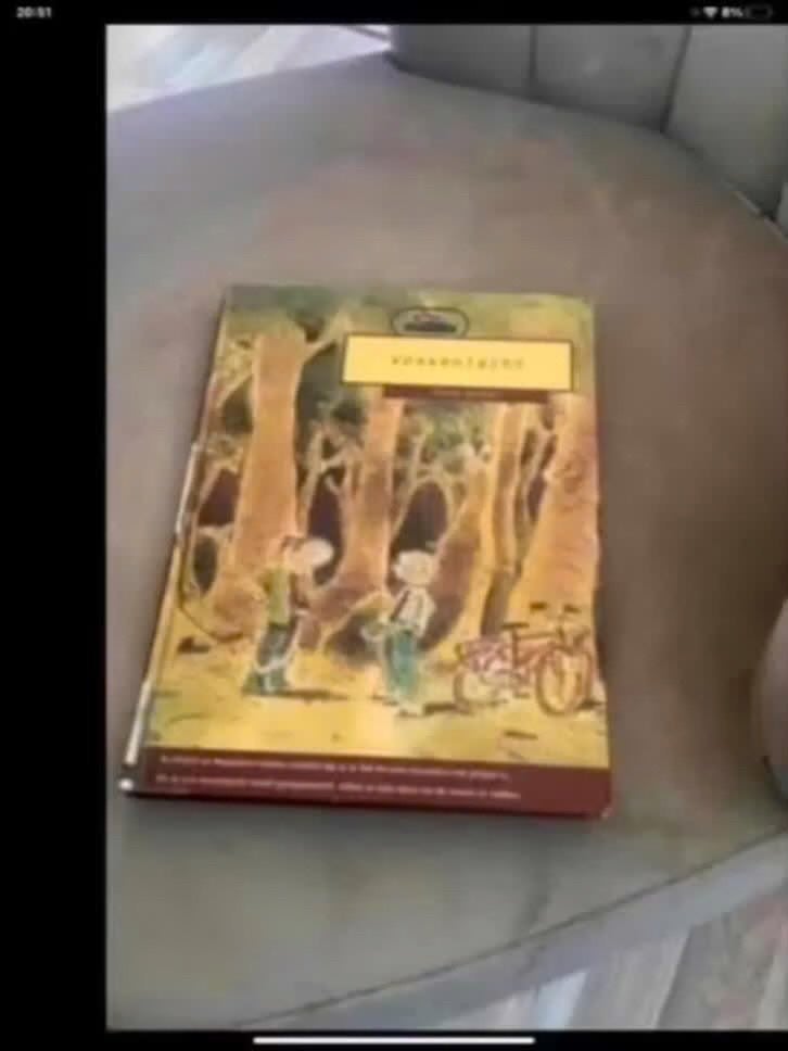Henk Hokke - Vossenjacht (Kinderboek), Gelezen, Fictie algemeen, Ophalen of Verzenden, Henk Hokke