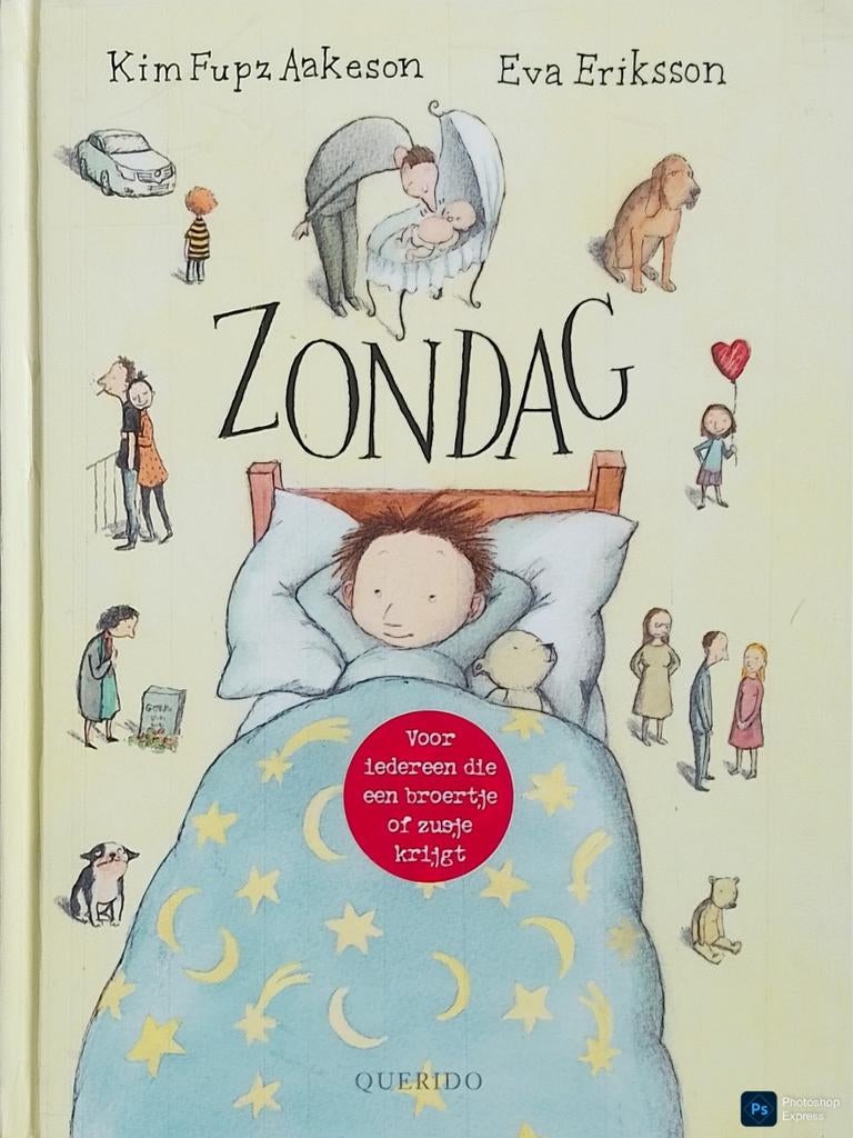 Zondag, Gelezen, Fictie algemeen, Jongen of Meisje, Ophalen of Verzenden
