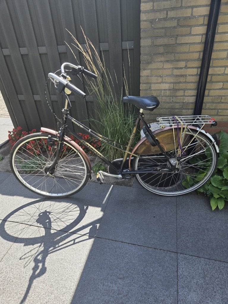 Oud ijzer/opknap fiets, Fietsen en Brommers, Gebruikt, Dames, Ophalen, Overige merken