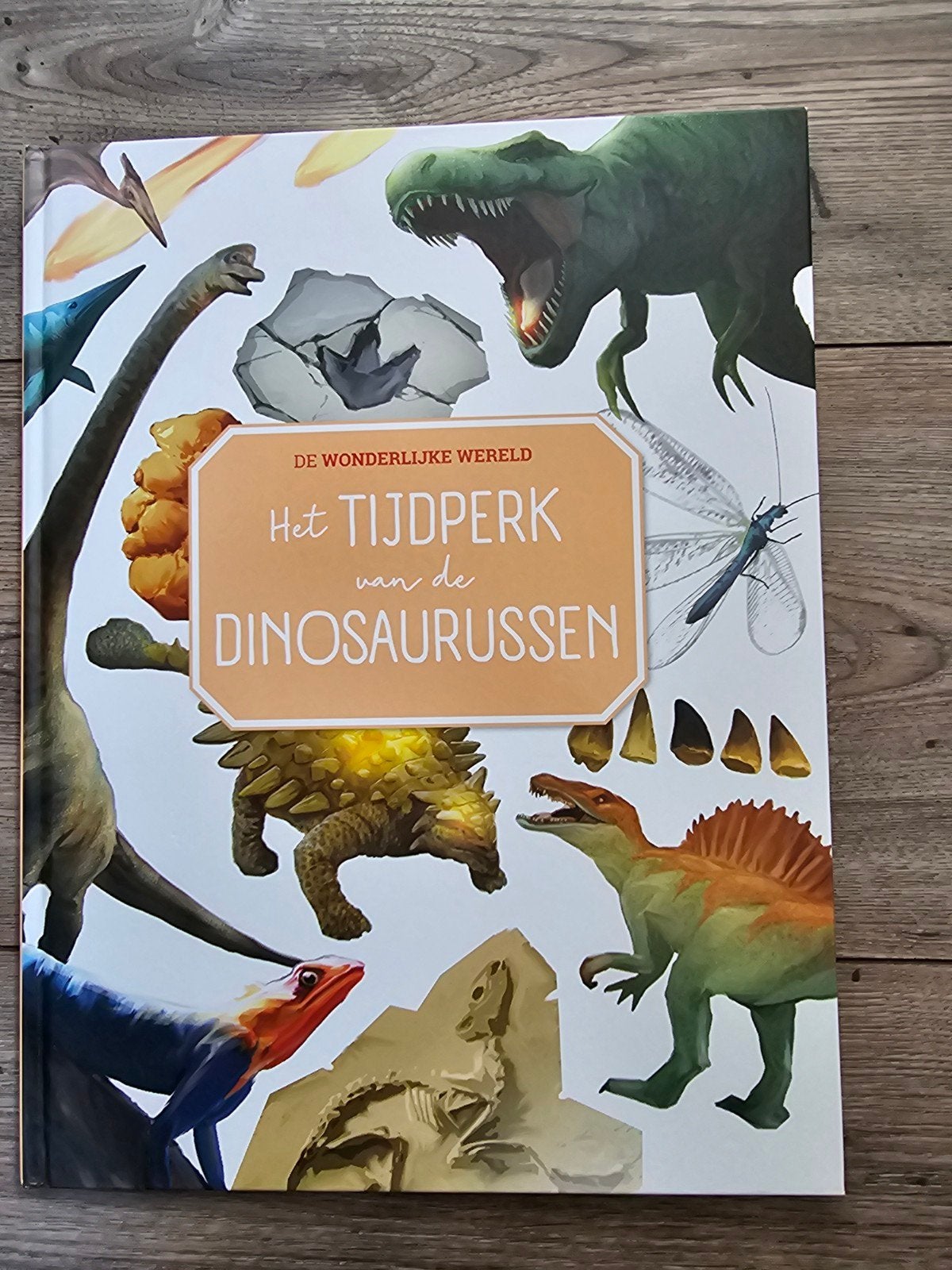 Het Tijdperk van de Dinosaurussen - De Wonderlijke Wereld, Ophalen, Zo goed als nieuw, Matthew Renvyle, Non-fictie