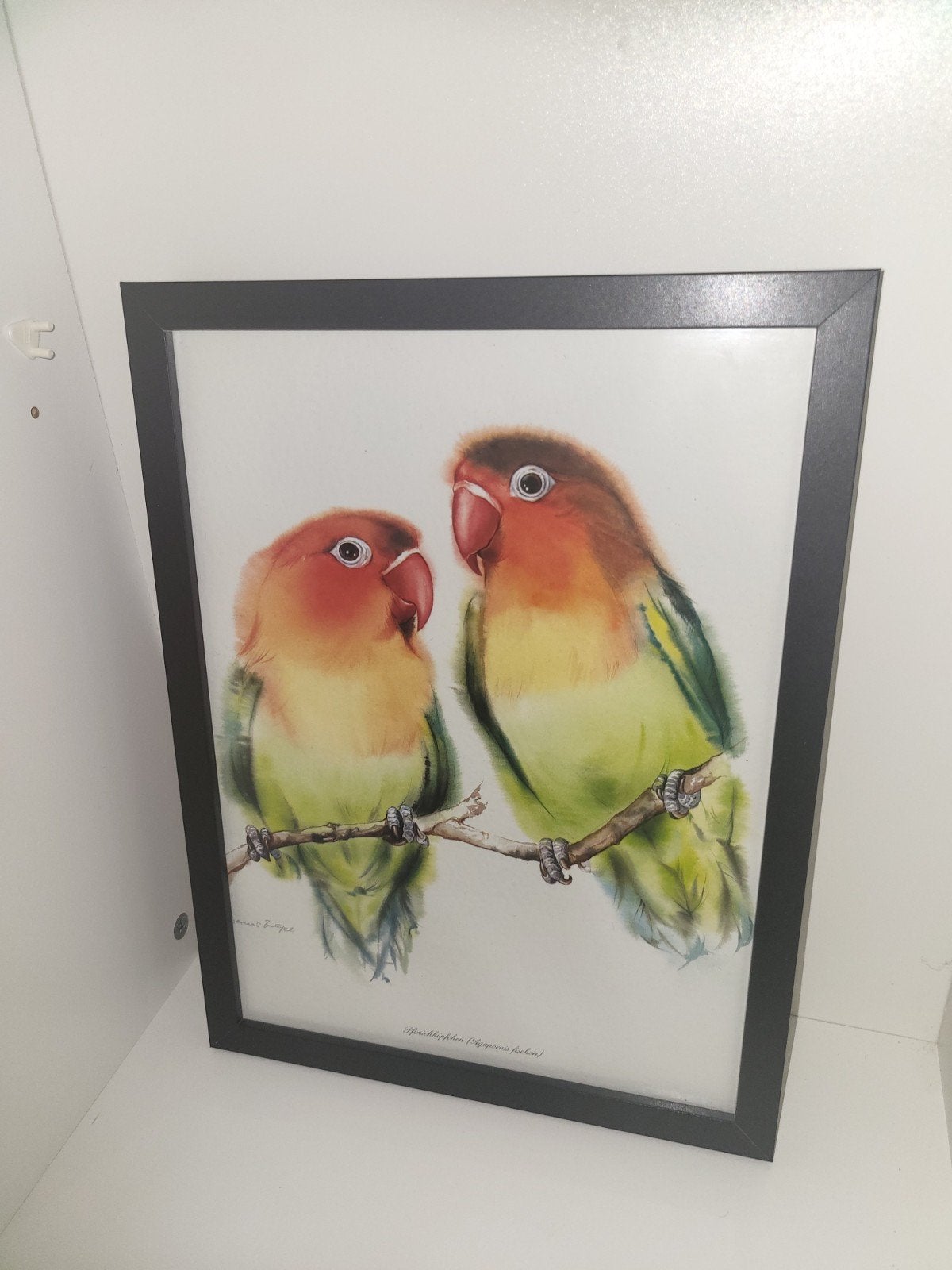 vogel tekening in glazen lijst zgan op te halen, Ophalen, Dieren