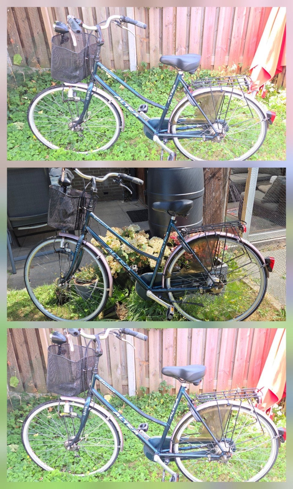 Damesfiets Elegance met mandje en bagagedrager, Fietsen en Brommers, Fietsen | Dames | Damesfietsen, Velgrem, 50 tot 53 cm, Ophalen