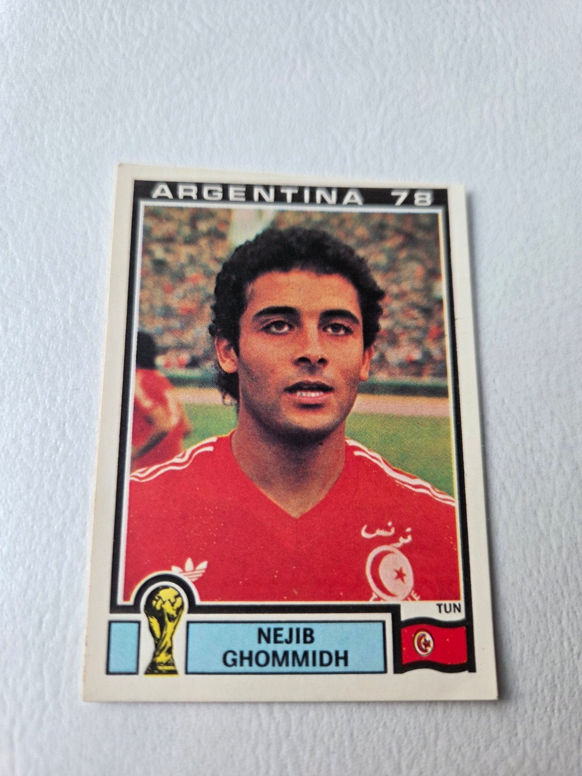 Panini WK 78, Verzamelen, Ophalen of Verzenden, Zo goed als nieuw, Buitenlandse clubs, Poster, Plaatje of Sticker