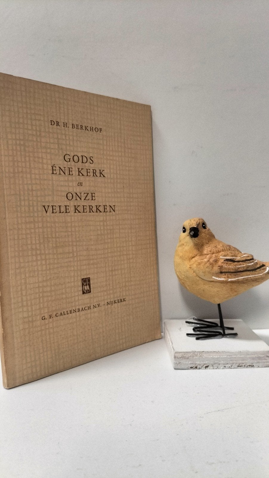 Berkhof, Dr. H.; Gods ene Kerk en onze vele kerken, Ophalen of Verzenden, Gelezen, Christendom | Protestants