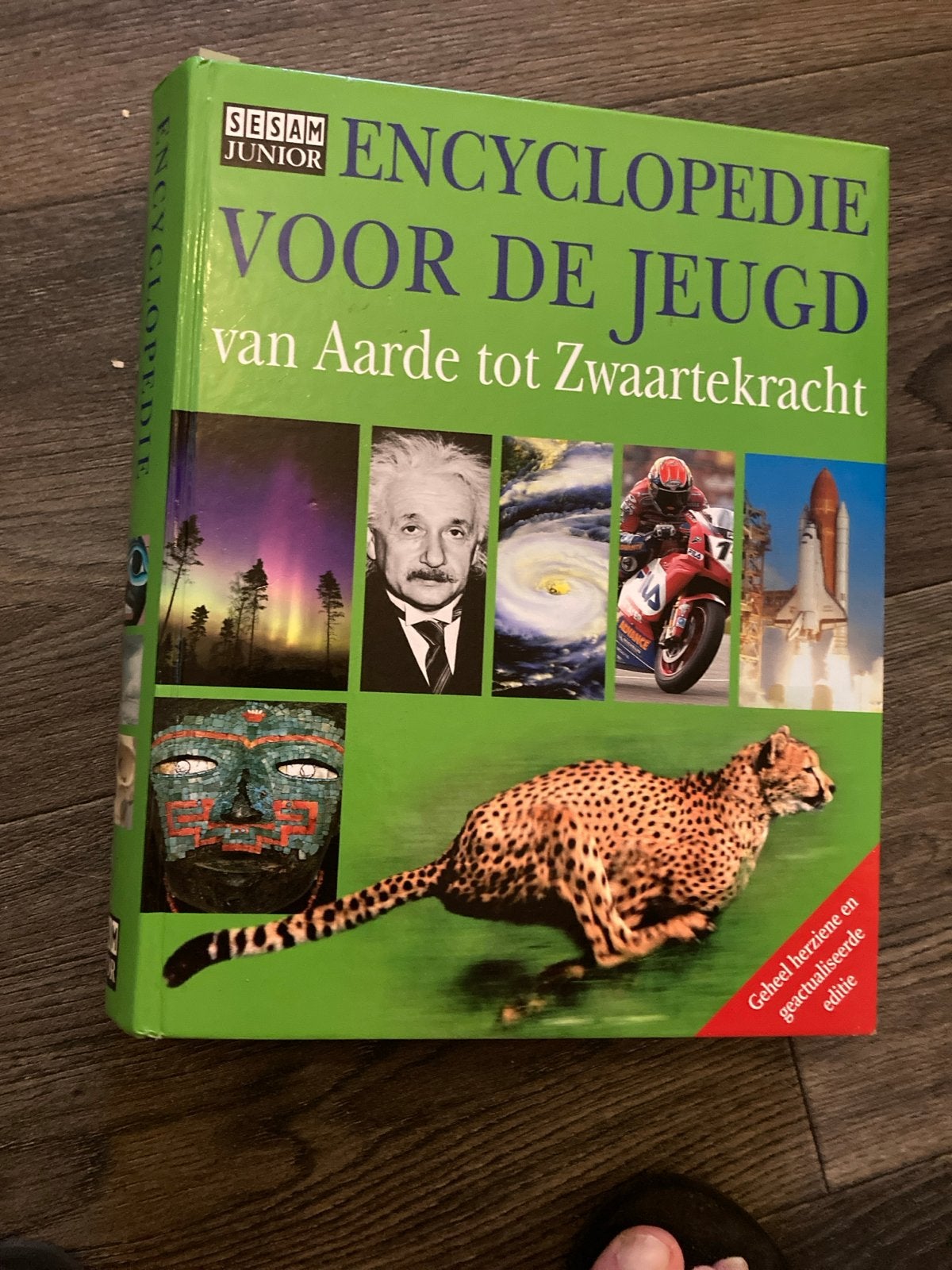 Sesam Junior Encyclopedie: Van Aarde tot Zwaartekracht, Boeken, Ophalen of Verzenden, Gelezen, Algemeen, Los deel