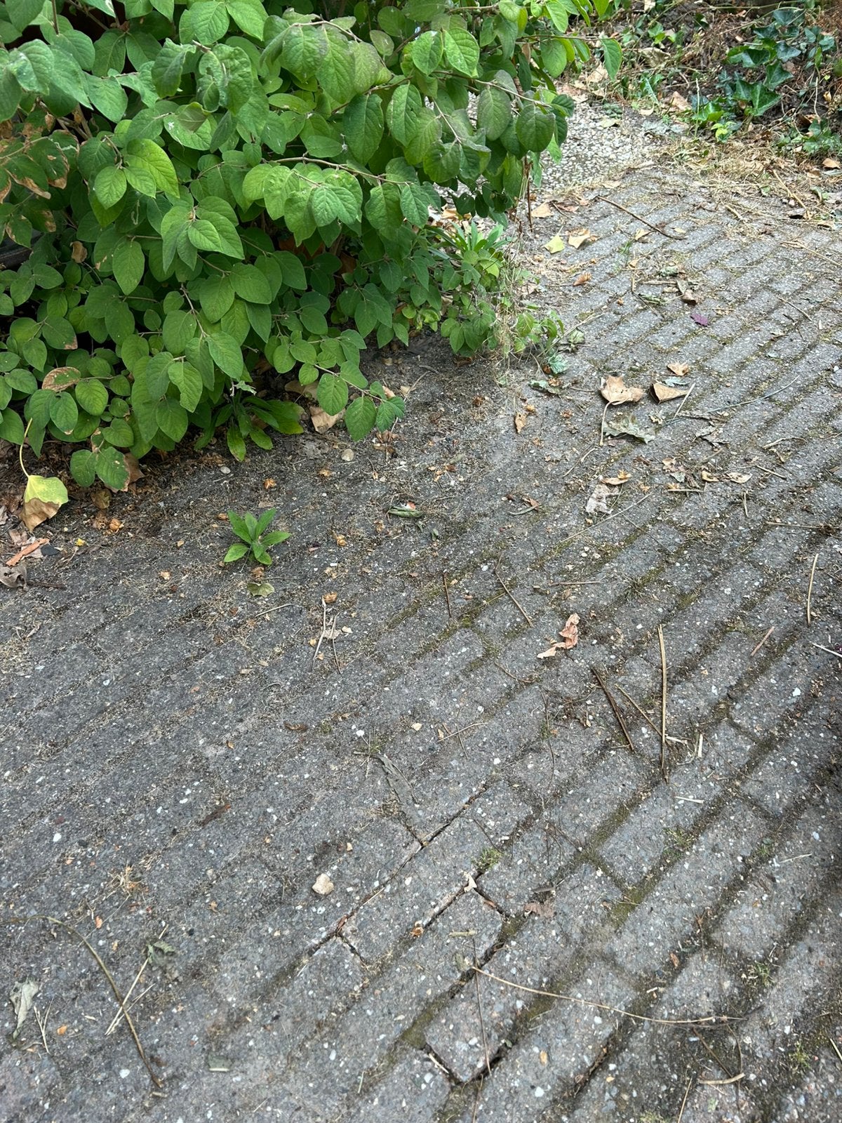 Bestrating gratis af te halen, Tuin en Terras, Ophalen, Zo goed als nieuw, Beton, Klinkers