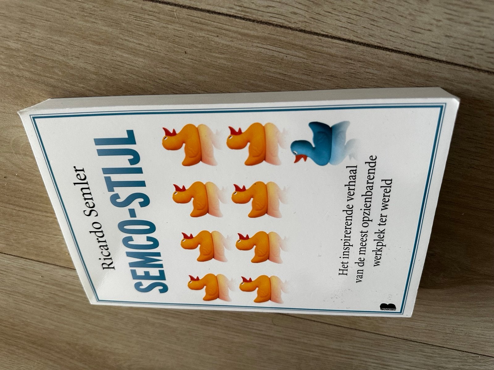 Semco-stijl: Het inspirerende verhaal van Ricardo Semler, Ophalen of Verzenden, Zo goed als nieuw, Management