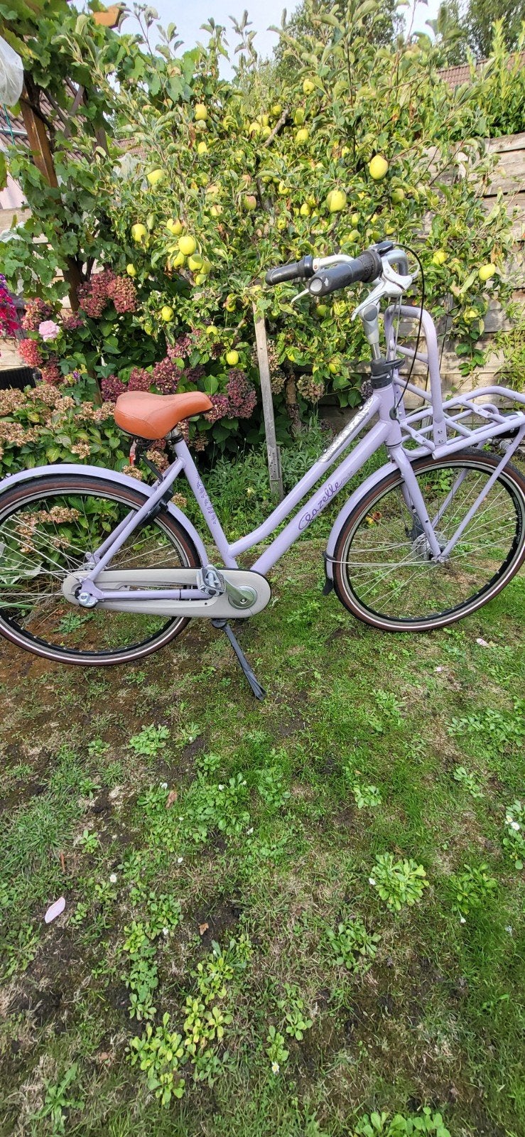 Gazelle miss grees, Fietsen en Brommers, Fietsen | Dames | Damesfietsen, 50 tot 53 cm, Ophalen of Verzenden, Gazelle, Versnellingen