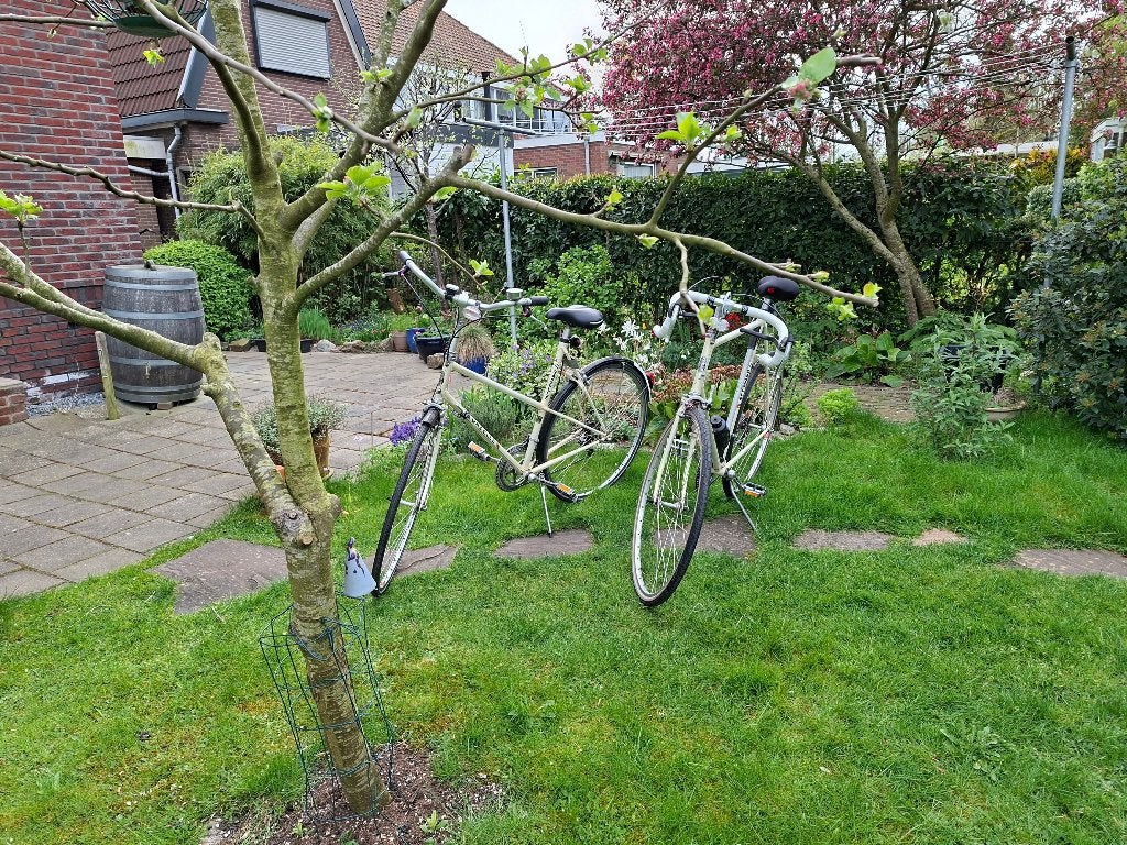 Gazelle Champion Mondial, Ophalen, Jaren '60 of nieuwer, Velgrem, 59 cm of meer