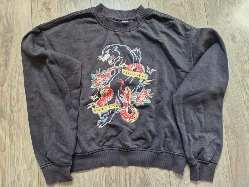 Grijze sweater met kleurrijke print maat S, H&M, Ophalen of Verzenden, Maat 36 (S), Grijs