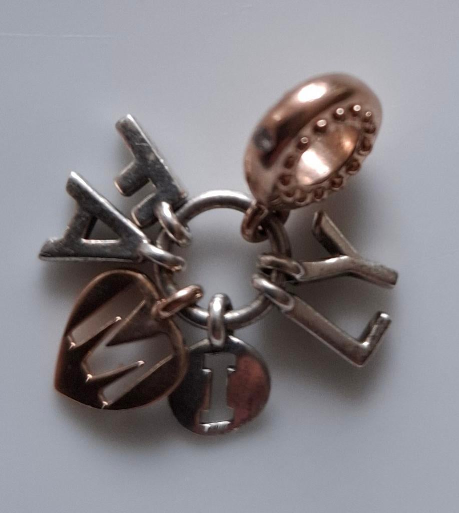 Family: Pandora bedel, moederdag idee, Sieraden, Tassen en Uiterlijk, Bedels, Ophalen of Verzenden, Zo goed als nieuw, Zilver