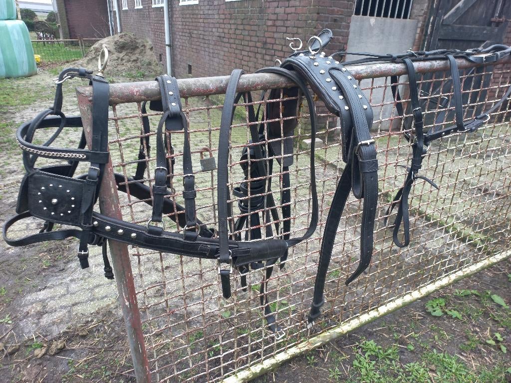 Zeer netjes zgan pony tuig, Ophalen, Zo goed als nieuw, Dressuur