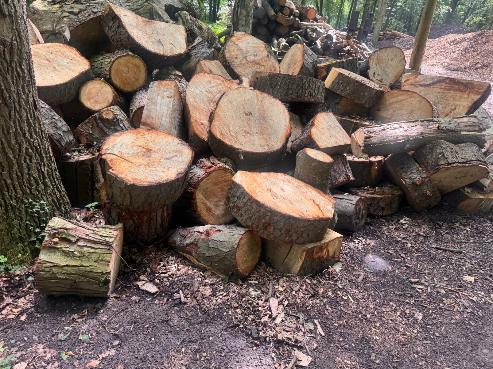Gemengde blokken brandhout, 6 m³ of meer, Ophalen