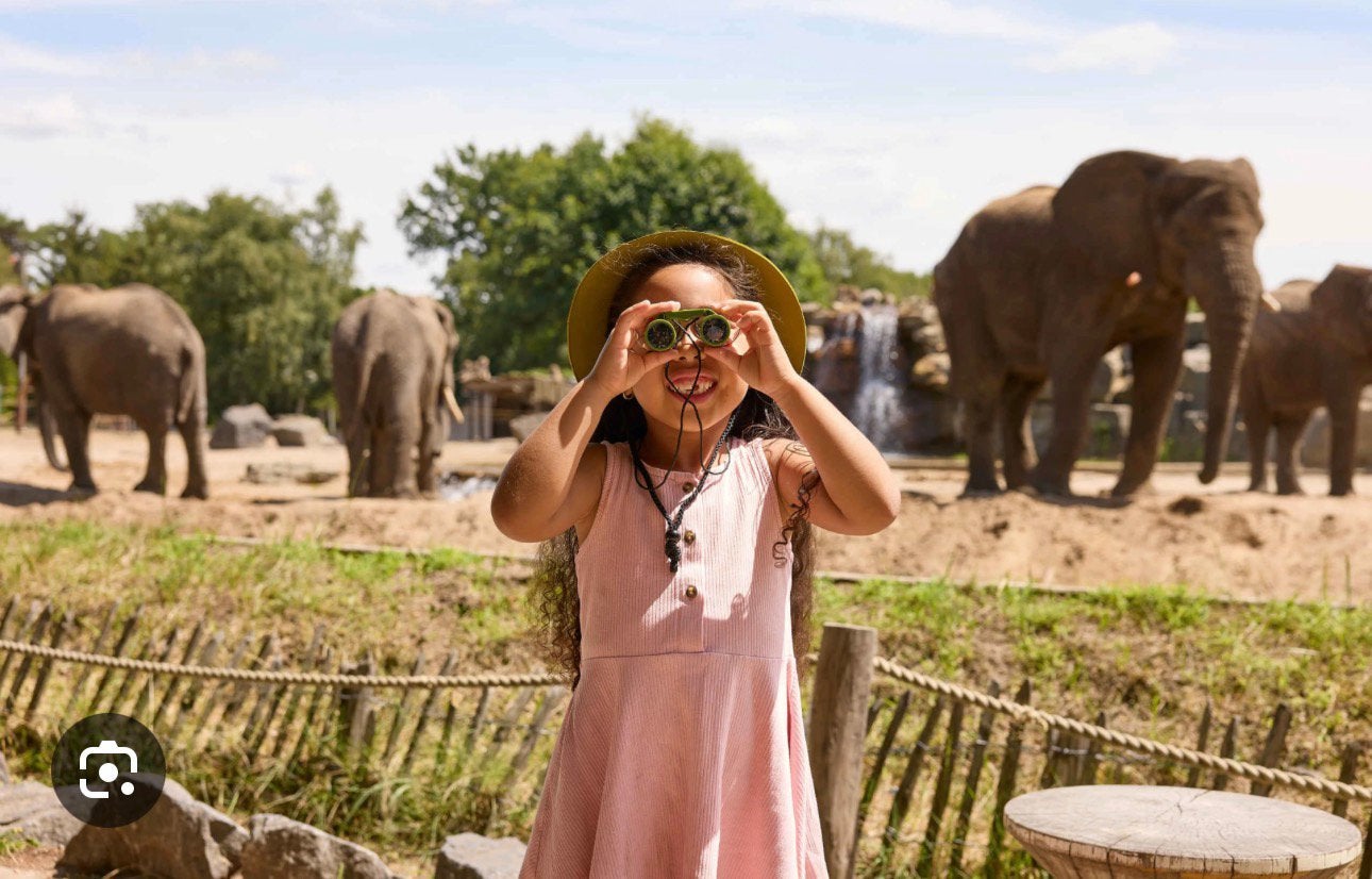 3 kaartjes beekse bergen safari park, Tickets en Kaartjes, Drie personen of meer, Ticket of Toegangskaart