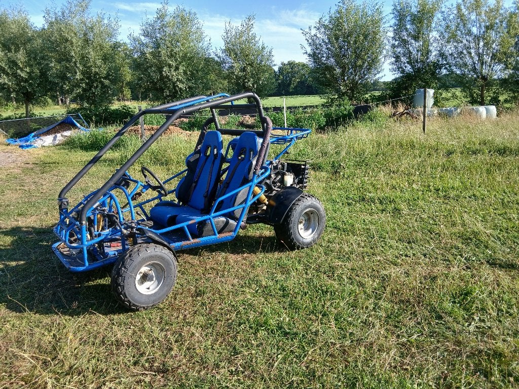 Cross buggy, Motoren, Quads en Trikes, 250 cc