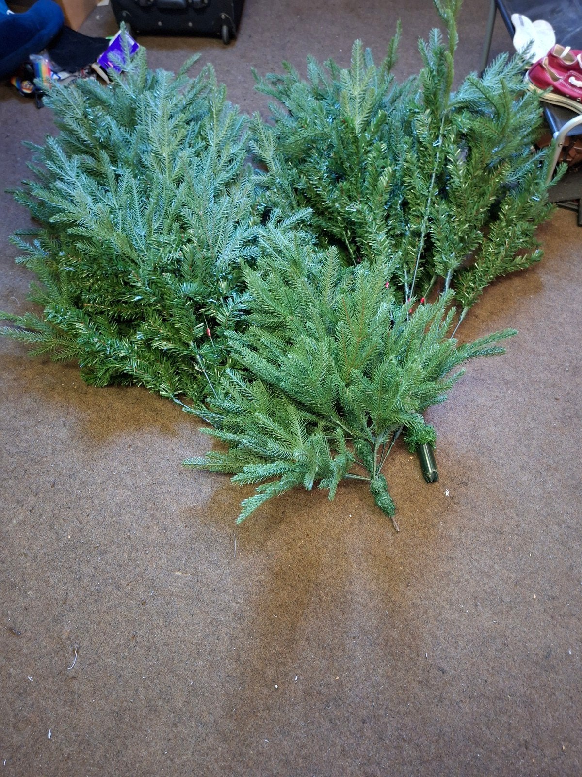 kunstkerstboom, Ophalen, Overige soorten, Volle zon