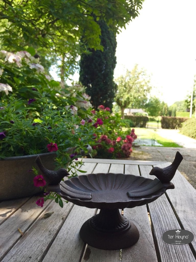Gietijzeren vogelbad op voet vogel voeder water bakje stoer, Tuin en Terras, Vogelhuisjes en Vogelbaden, Nieuw, Verzenden