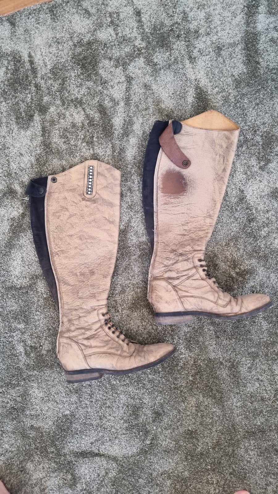 Derby rijlaarzen goud glitter maat 41, Ophalen of Verzenden, Gebruikt, Dressuur, Schoeisel