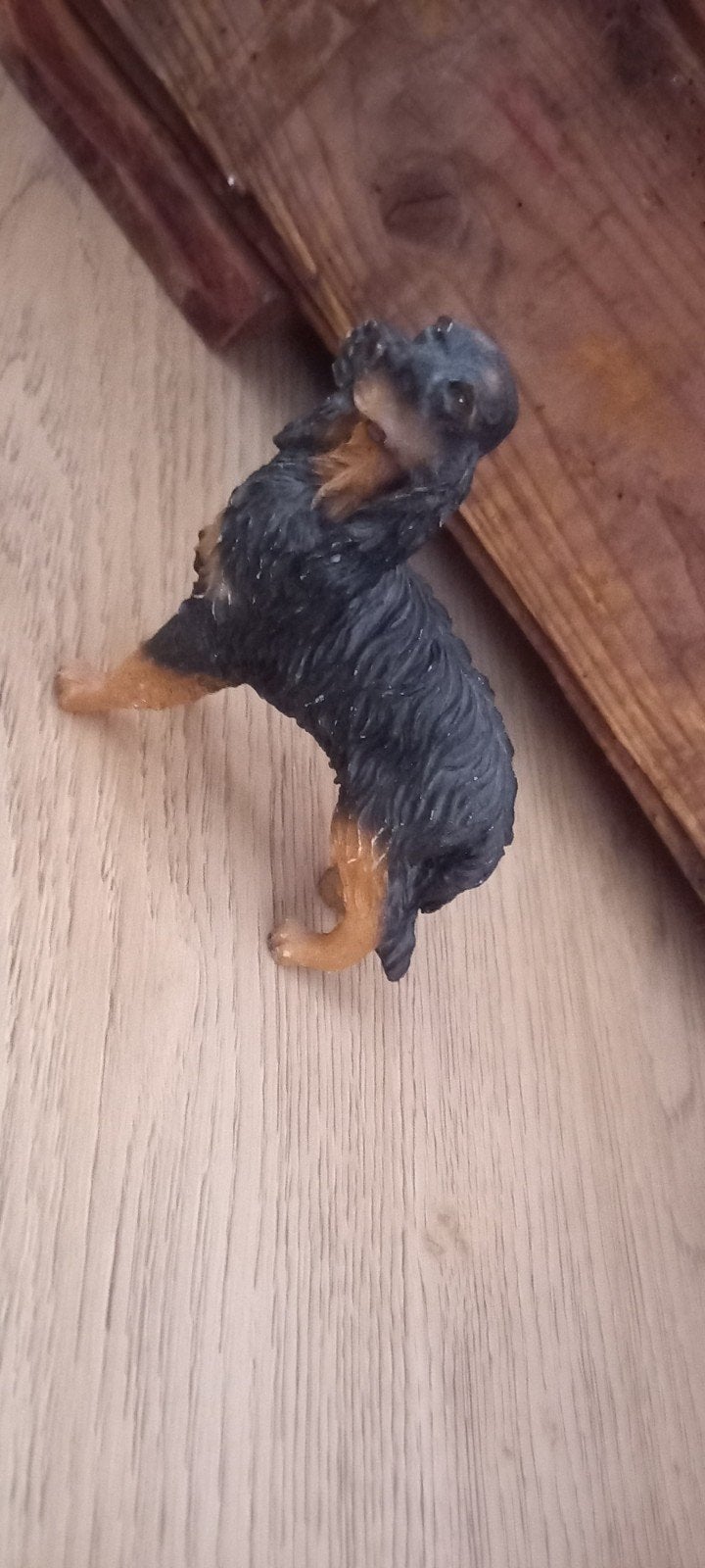 Schattig hondje beeldje - Yorkshire Terrier, Ophalen, Gebruikt, Hond of Kat, Beeldje of Figuurtje