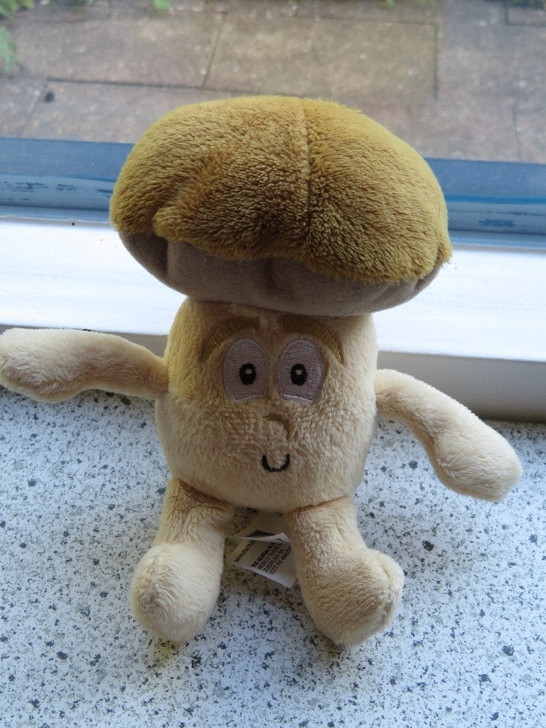 Chanti Champignon van LIDL paddenstoel zacht materiaal, Lidl, Overige typen, Ophalen of Verzenden, Zo goed als nieuw