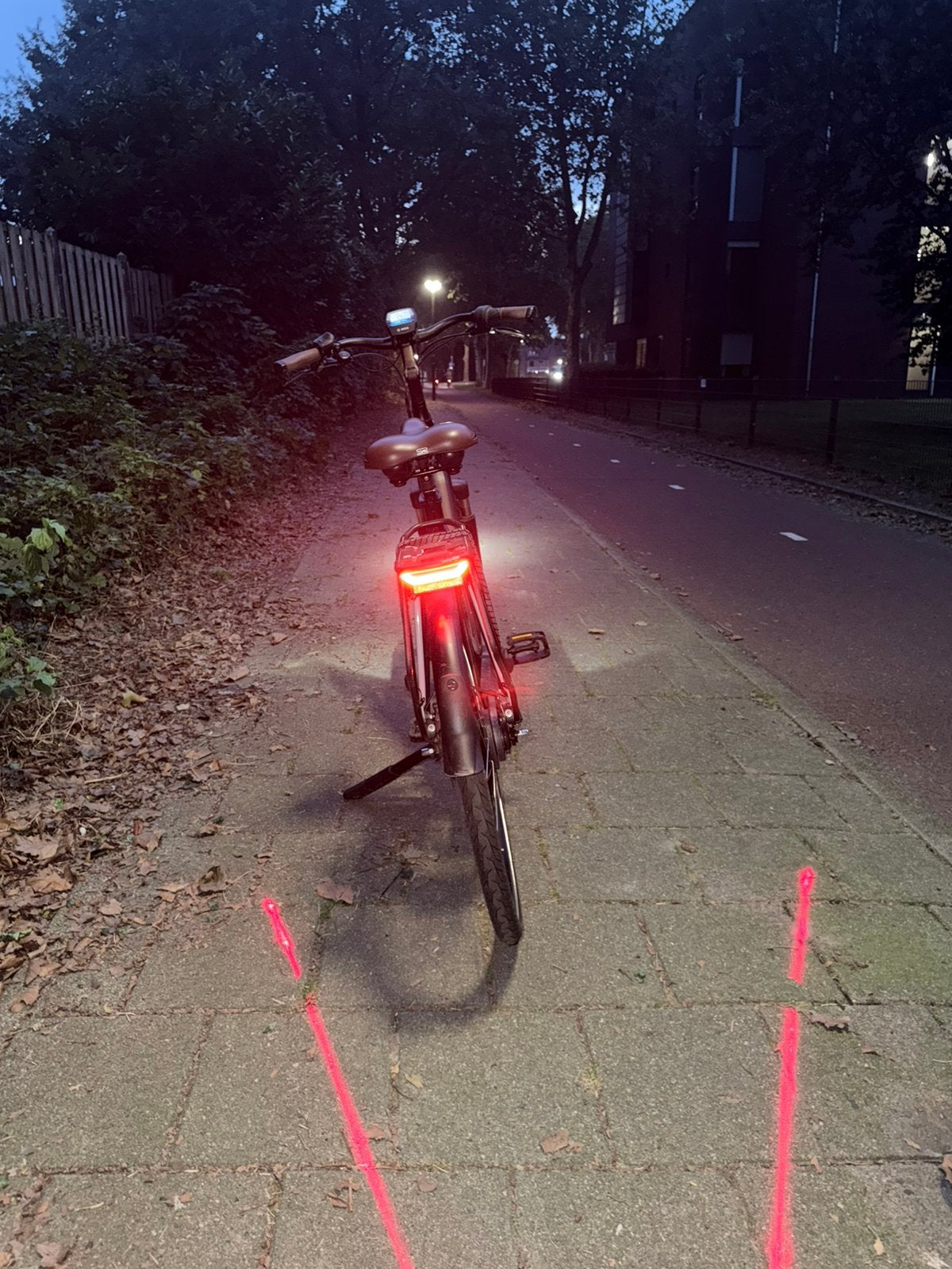 Foto 3 van Batavus finez E-Go