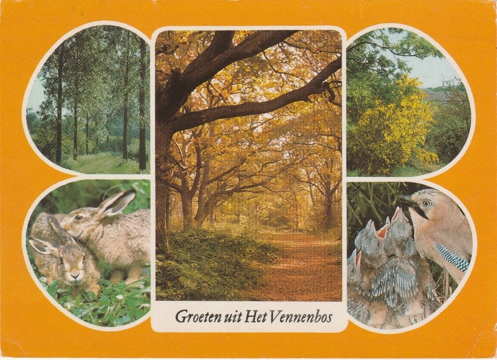 HAPERT Het Vennenbos Groeten, Verzenden, 1980 tot heden, Gelopen, Noord-Brabant