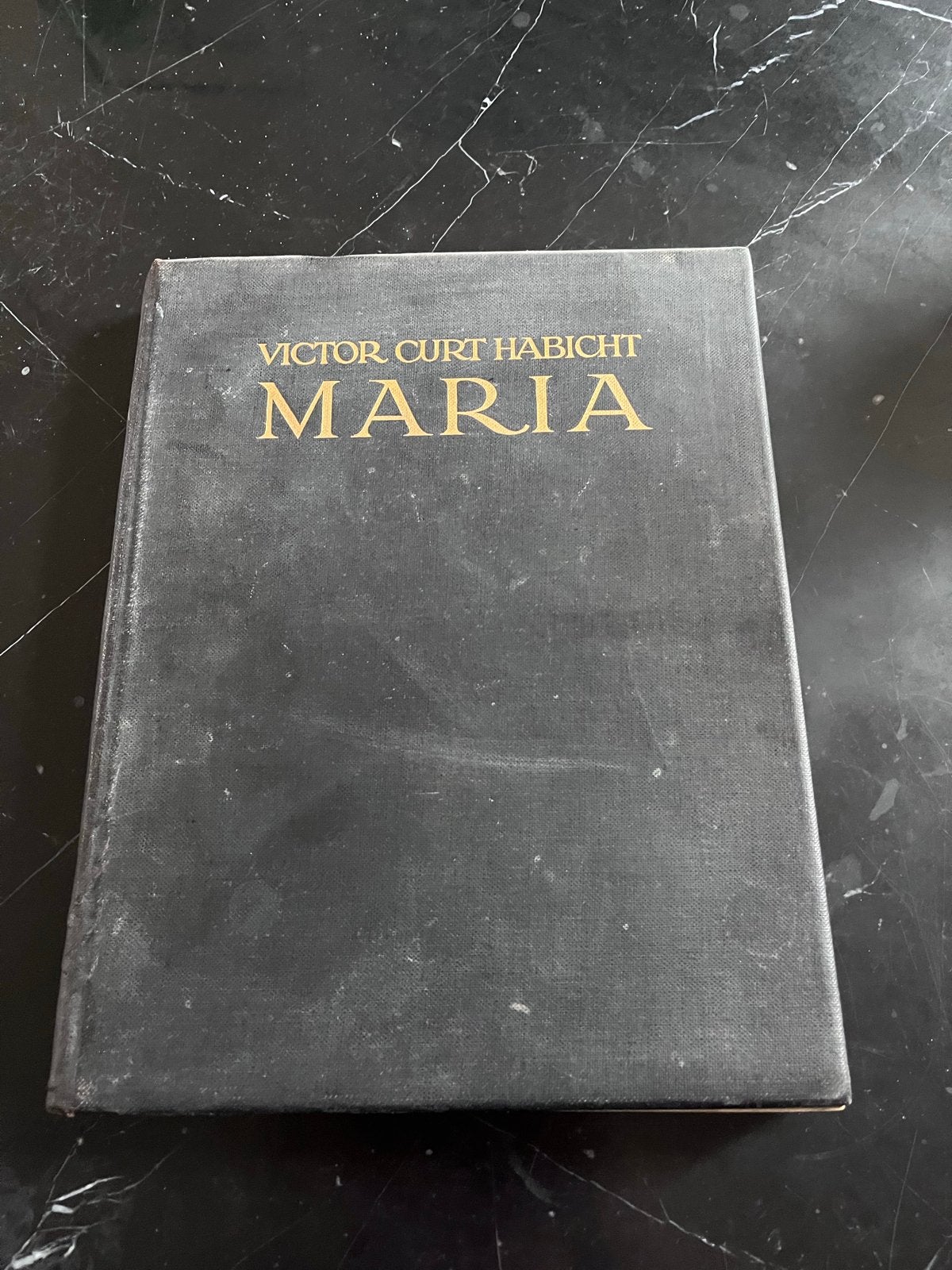 Maria in de Kunst - Victor Curt Habicht (1926), Verzenden, Gelezen, Christendom | Katholiek