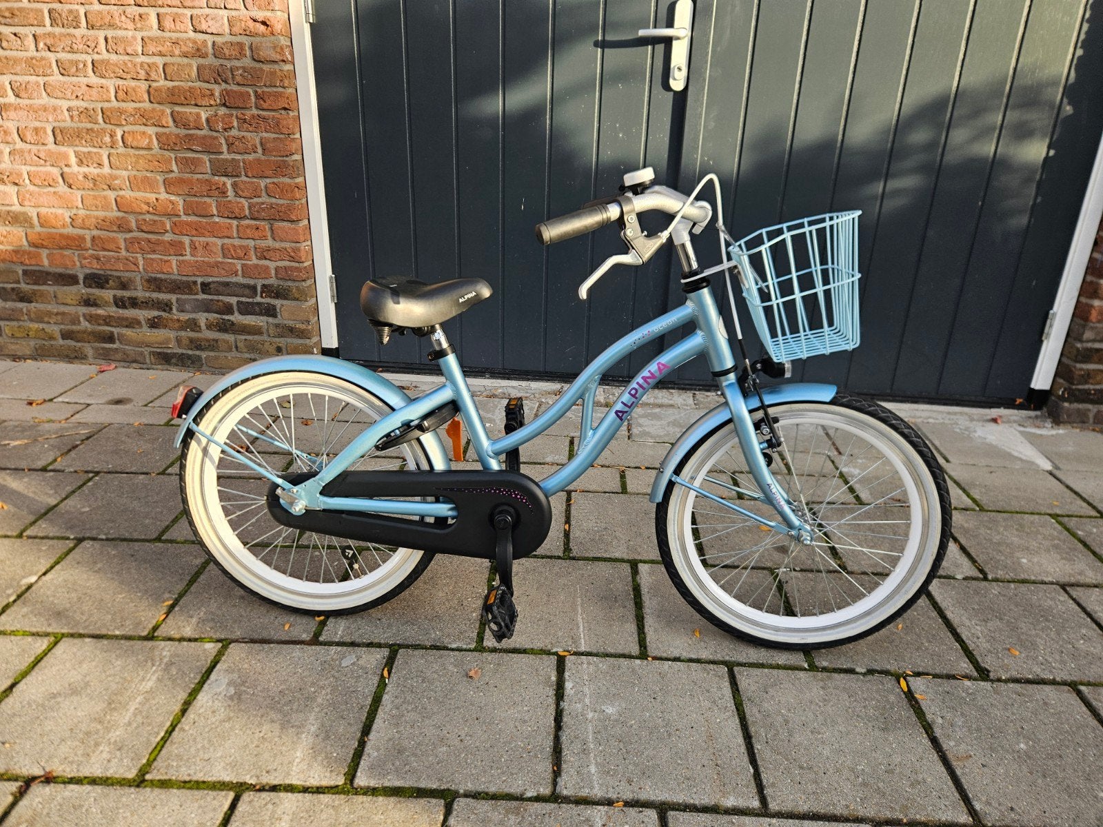 Alpina Ocean 20 inch meisjesfiets met mandje, Ophalen, Terugtraprem, Gebruikt, Alpina
