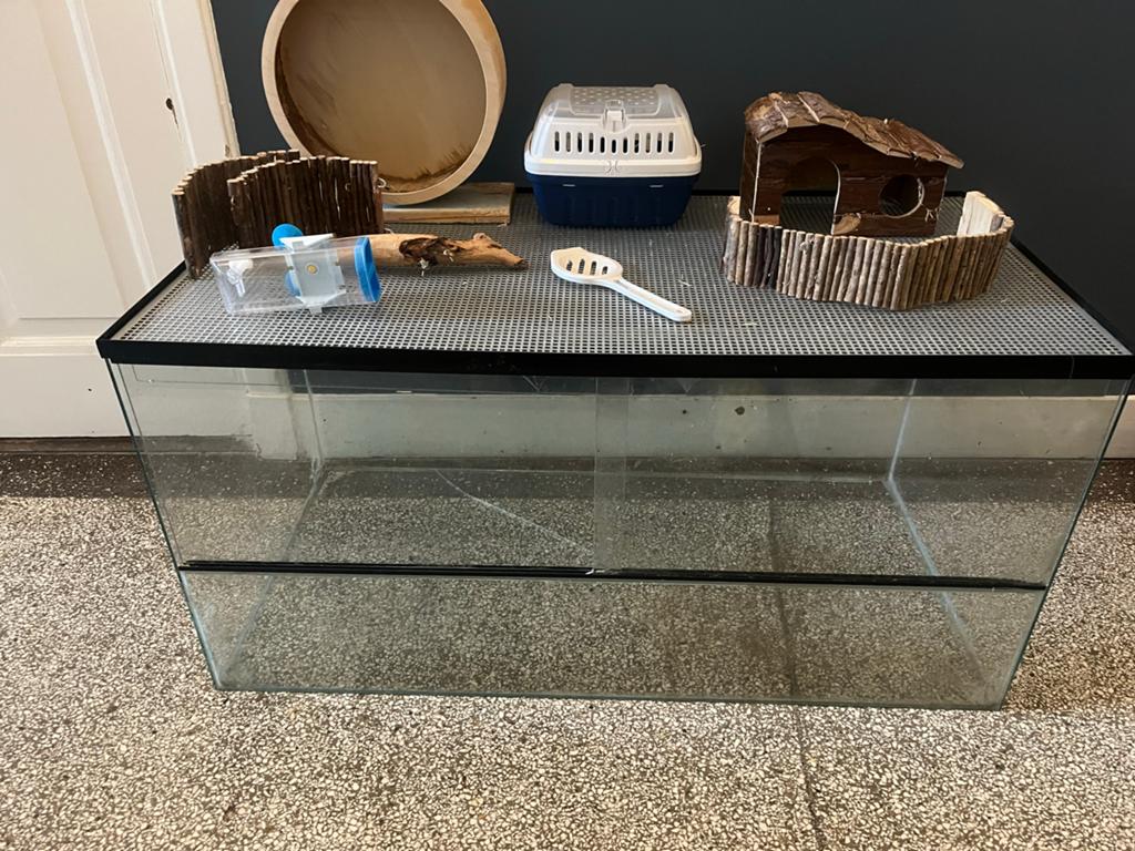 Terarium 100 * 50 * 50 cm, Gebruikt, Muis, Hok, 75 tot 110 cm