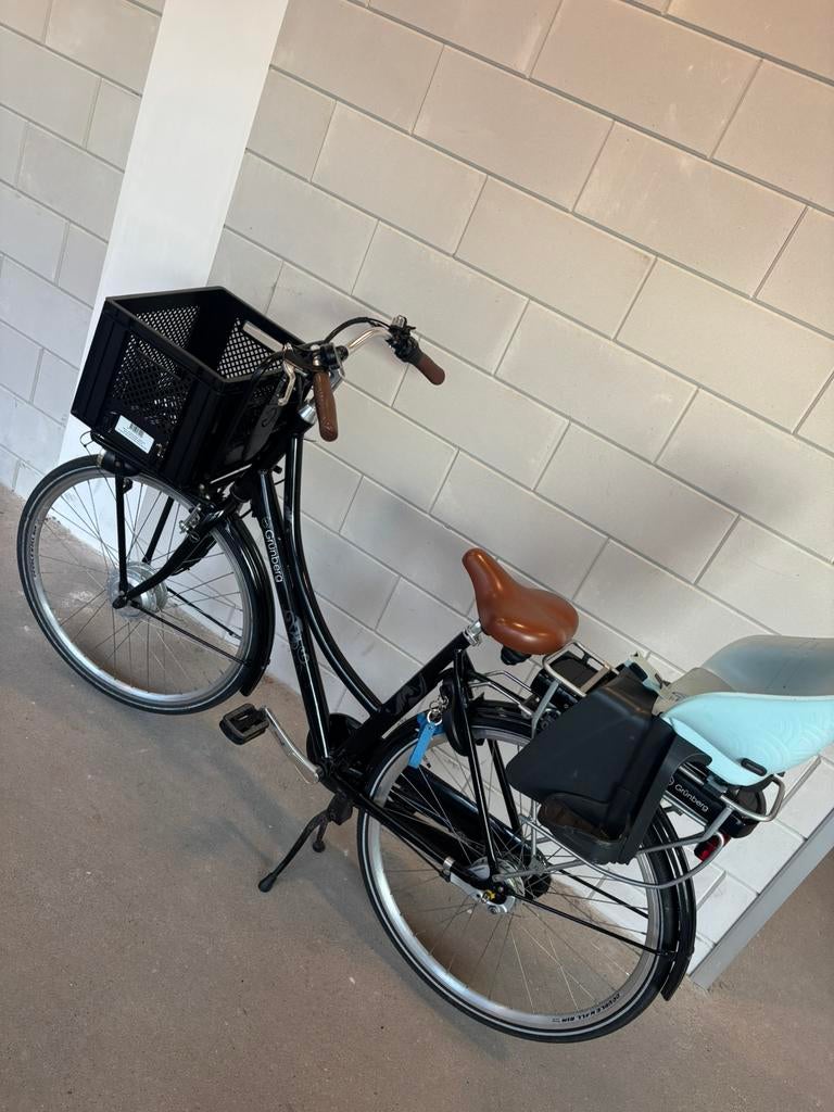 E bike Grünberg, Fietsen en Brommers, Elektrische fietsen, Ophalen, Gebruikt, Minder dan 30 km per accu, Overige merken